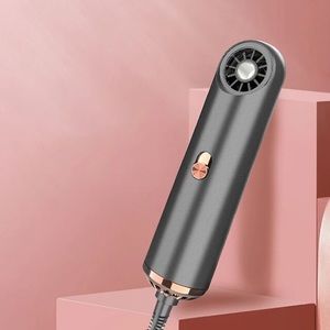 Compact Black Hair Dryer with Gold Accents